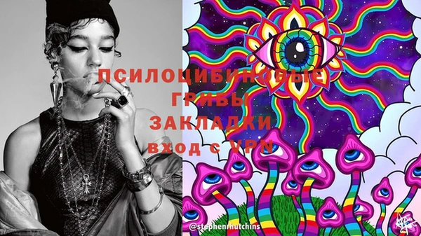 гидра Ладушкин