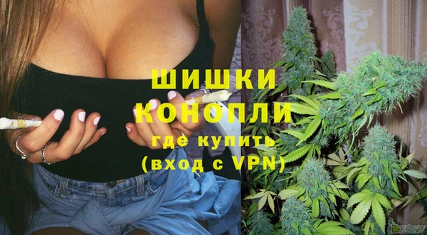 гидра Ладушкин