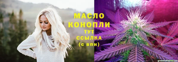 тгк Лагань