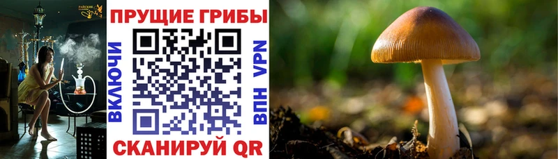 Галлюциногенные грибы ЛСД  кракен зеркало  маркетплейс Telegram  Троицк 