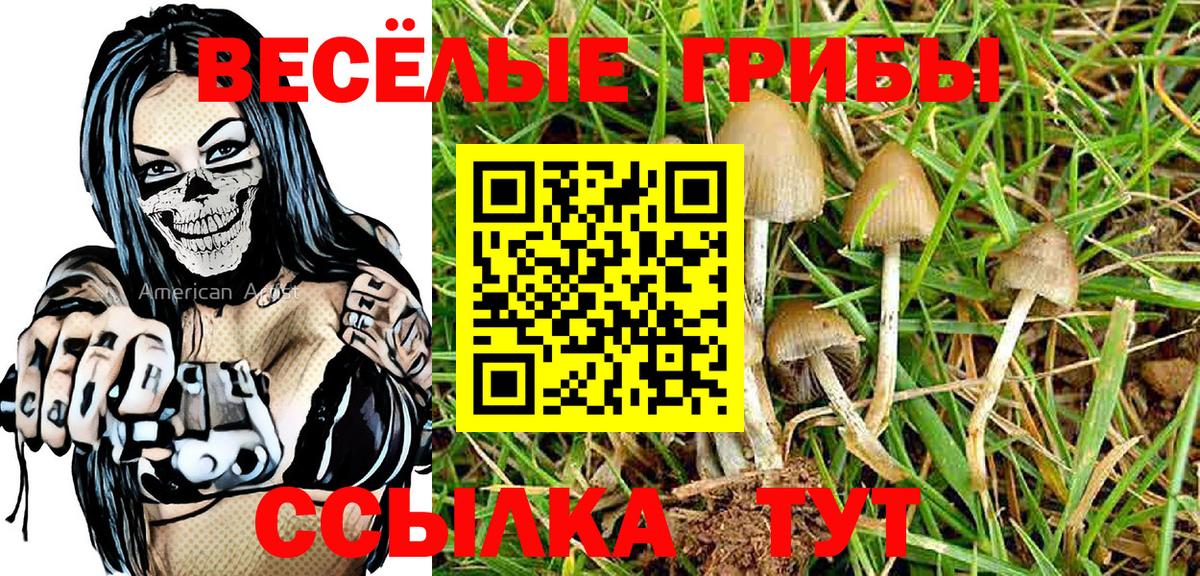 ГАШИШ  Троицк  Меф МЯУ МЯУ кристаллы  НБОМе  Бошки Шишки  Вход с VPN  Кокаин 